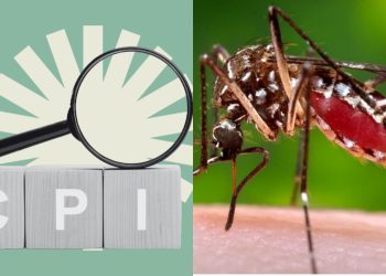 “CPI da Saúde” que vai investigar compra de kits contra dengue em Rio Branco deve ser protocolada na próxima semana