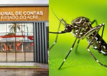 Tribunal de Contas do Acre vai realizar uma inspeção sobre compra de mosquitos do bem