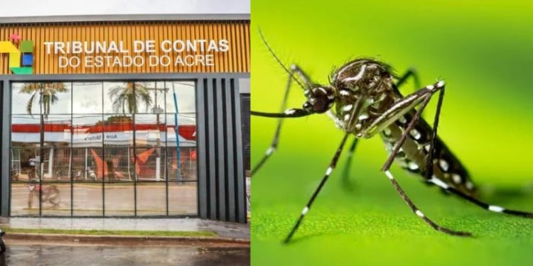 Tribunal de Contas do Acre vai realizar uma inspeção sobre compra de mosquitos do bem