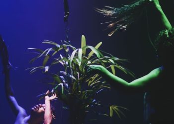 Espetáculo do Amapá, que reflete sobre a Amazônia contemporânea, se apresenta em Rio Branco