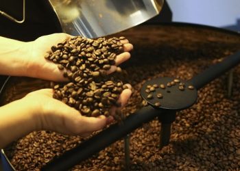 Clima e aumento do consumo devem manter preço do café em alta