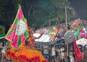 “O tema surgiu logo após o término do Carnaval de 2024”, diz presidente do Bloco Unidos do Fuxico em desfile