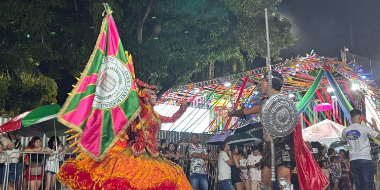 “O tema surgiu logo após o término do Carnaval de 2024”, diz presidente do Bloco Unidos do Fuxico em desfile