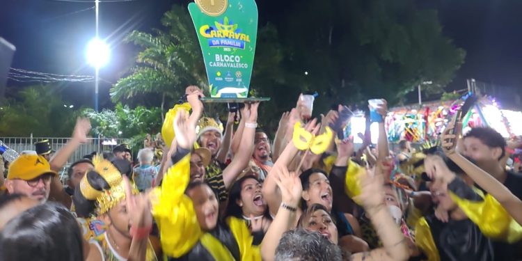 Carnaval da Família 2025: Bloco 6 É D+ é o grande campeão do desfile na Praça da Revolução