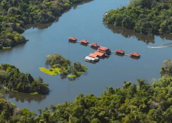 Campanha da Fraternidade pede mudança de atitude com meio ambiente
