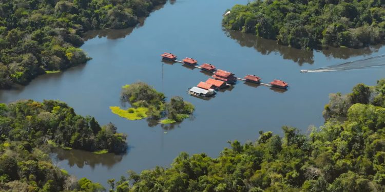 Campanha da Fraternidade pede mudança de atitude com meio ambiente