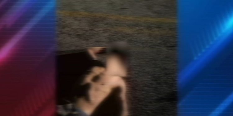 Jovem morre após ser atropelado na BR-364; motorista foge do local