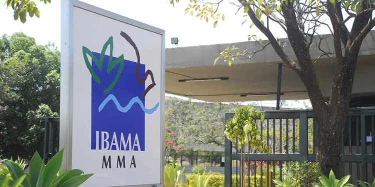 Ibama divulga locais de prova do concurso 2025 para 460 vagas
