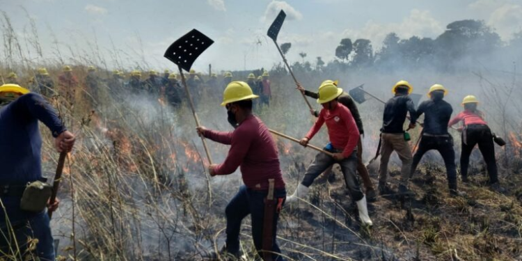 Acre abre processo seletivo para brigadistas comunitários em unidades de conservação