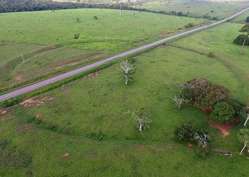 Geoglifos do Acre podem se tornar Patrimônio Mundial da Unesco; entenda
