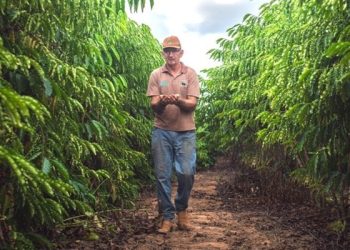 Produção agrícola do Acre cresceu 101% nos últimos 6 anos; confira os números