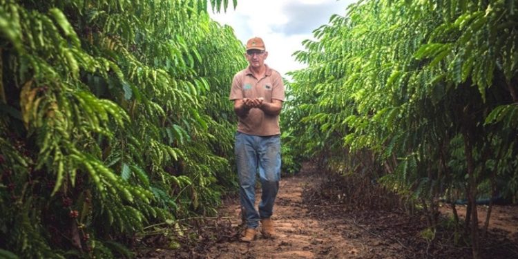 Produção agrícola do Acre cresceu 101% nos últimos 6 anos; confira os números