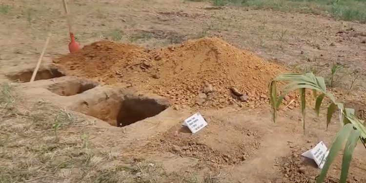 MPAC recomenda suspensão imediata de atividades de cemitério de animais até avaliação de impacto ambiental