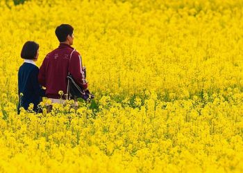 Se a vida te der tangerinas: um drama sobre o amor que persiste, mesmo quando tudo desaba
