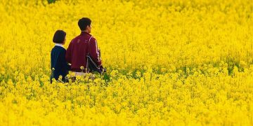 Se a vida te der tangerinas: um drama sobre o amor que persiste, mesmo quando tudo desaba
