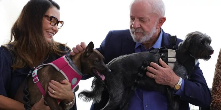 Lula lança programa de identificação e proteção de cães e gatos