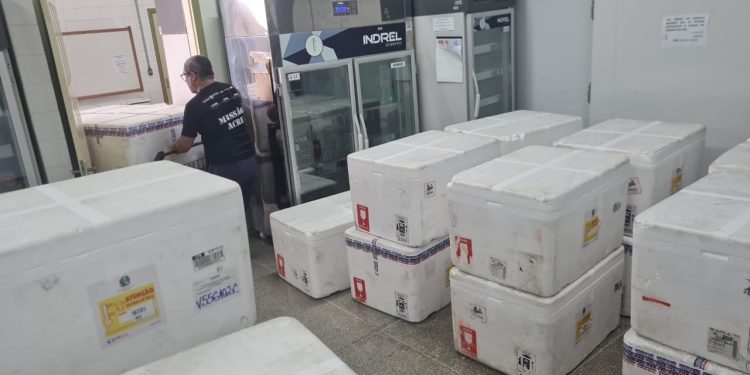 Programa Saúde na Escola: novo lote com 78 mil doses de vacinas chega ao Acre