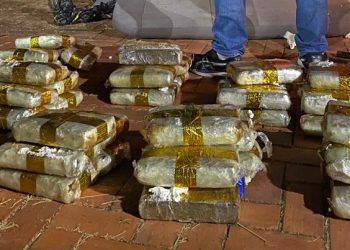 Em Rio Branco, mais de 50 kg de drogas avaliadas em R$ 300 mil são apreendidas em transportadora