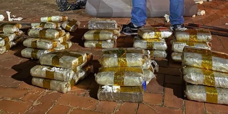 Em Rio Branco, mais de 50 kg de drogas avaliadas em R$ 300 mil são apreendidas em transportadora