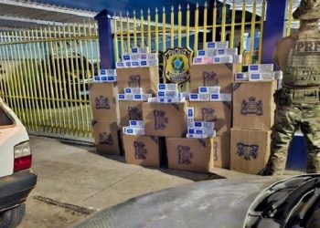 No Acre, mais de 8 mil maços de cigarros contrabandeados são apreendidos na BR-317