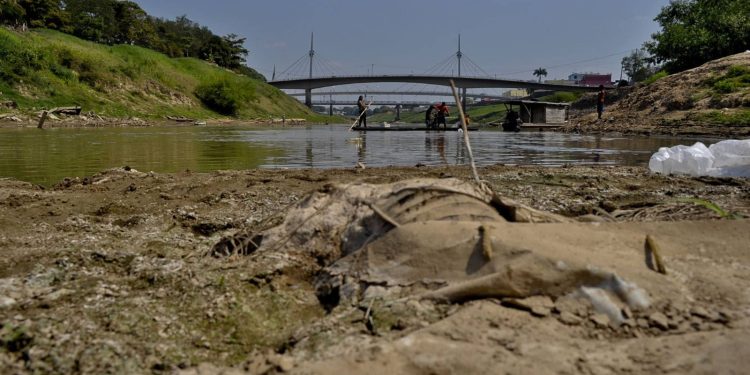 Urgente: Rio Acre pode atingir cota zero em 2032; nível atual é o terceiro menor de maio em 11 anos