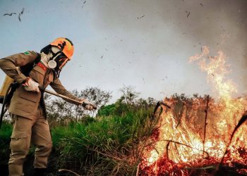 Acre divulga resultado final de seletivo para brigadistas e convoca classificados para curso de formação