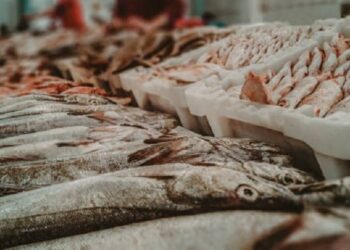 Açougueiro, padeiro e peixeiro lideram oferta de vagas no AC; Sine disponibiliza 142 oportunidades nesta quarta