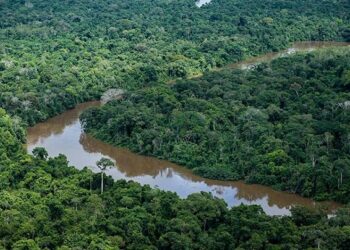 Regularização fundiária na Amazônia Legal pode avançar com novo projeto de lei no Senado