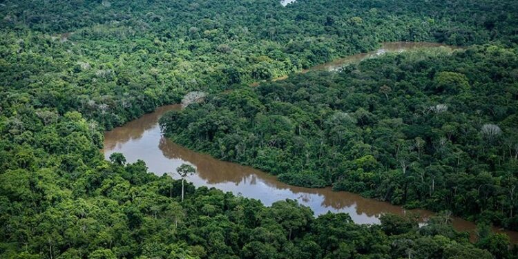 Regularização fundiária na Amazônia Legal pode avançar com novo projeto de lei no Senado