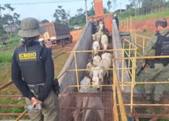 BR-317 é liberada após dois dias de bloqueio; três pessoas são presas por atos criminosos contra agentes públicos