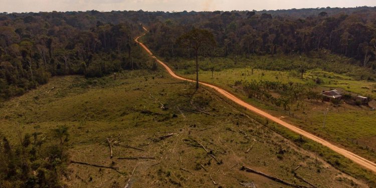 Resex Chico Mendes: moradores relatam abuso de autoridade, enquanto ICMBio afirma que está cumprindo lei