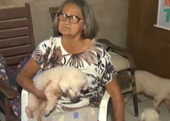 Mulher resgata e cuida de mais de 70 cães abandonados em Rio Branco