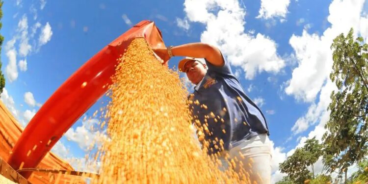 Balança comercial tem menor superávit para julho em três anos