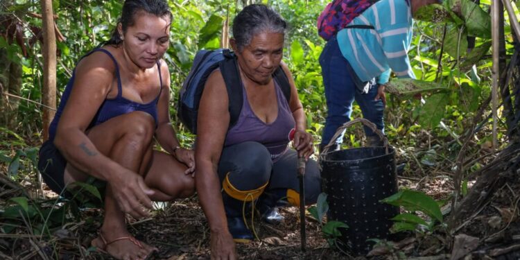Edital destina R$ 490 mil para projetos de agricultura familiar e extrativismo em Tarauacá