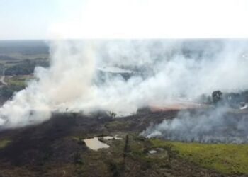 Acre registra queda de mais de 73% nos focos de queimadas em agosto, aponta Inpe