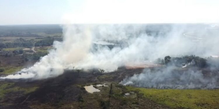 Acre registra queda de mais de 73% nos focos de queimadas em agosto, aponta Inpe