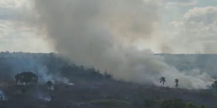 Feijó aparece entre os dez municípios que mais desmataram na Amazônia