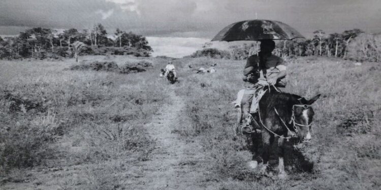 Falas sobre as experiências de vida e pesquisas na BR – 364 entre Sena Madureira à Cruzeiro do Sul em conjunto com o Prof. Dr. Carlos Alberto Alves de Souza