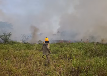 Cruzeiro do Sul lança operação integrada contra queimadas e registra queda de 80% nos focos de calor