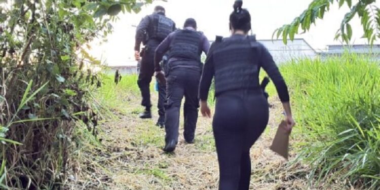 Operação Centúria contra organização criminosa é deflagrada em três cidades do Juruá