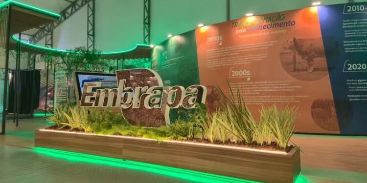 Embrapa Acre apresenta tecnologias sustentáveis da Amazônia na COP30