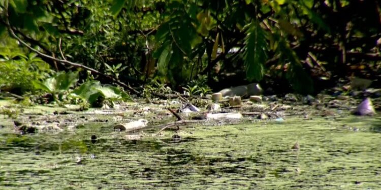 Falta de água tratada e saneamento básico atinge metade da população de Rio Branco