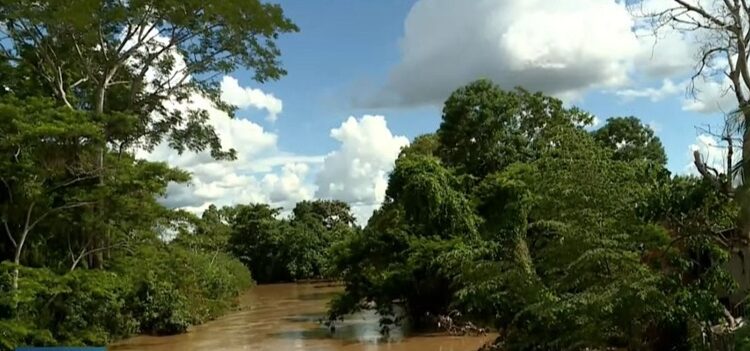 TCE-AC cria grupo de trabalho para monitorar atividades do igarapé São Francisco