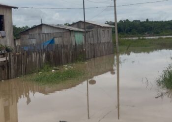 Rio Envira volta a transbordar em Feijó e mais de 600 pessoas são afetadas pela cheia