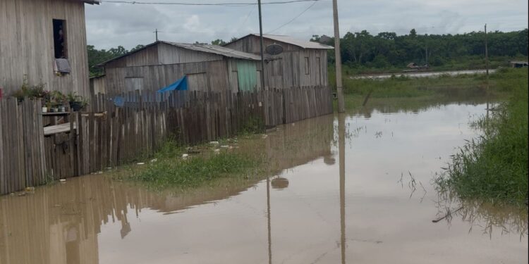 Rio Envira volta a transbordar em Feijó e mais de 600 pessoas são afetadas pela cheia