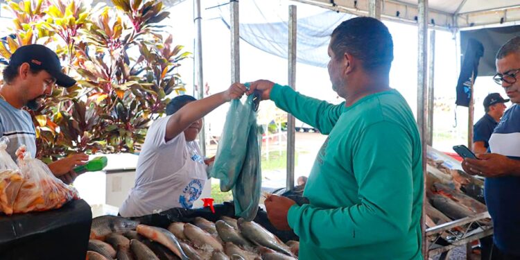15ª Feira do Peixe e Agricultura Familiar 2026 acontece de 1º a 3 de abril em Rio Branco