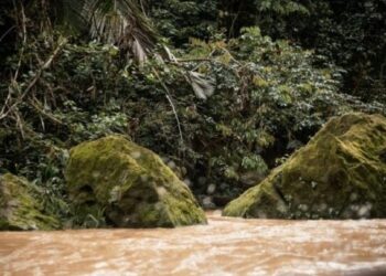 Dois parques do AC são indicados para turismo de observação de aves em catálogo de experiências de birdwatching no Brasil