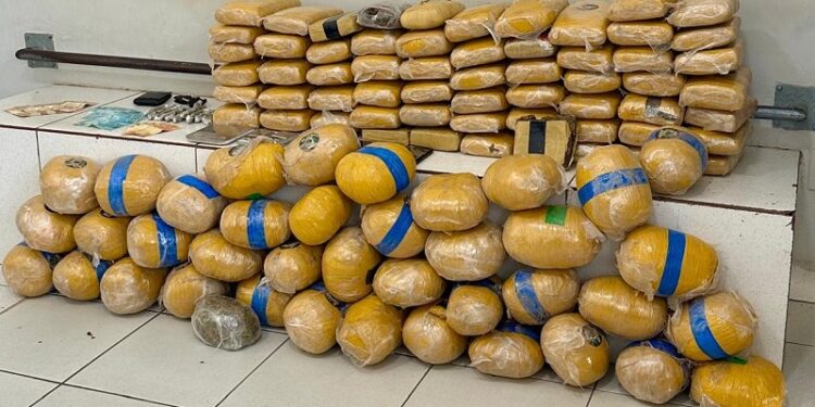 Em Rio Branco, militares da companhia de choque apreendem 106 kg de drogas