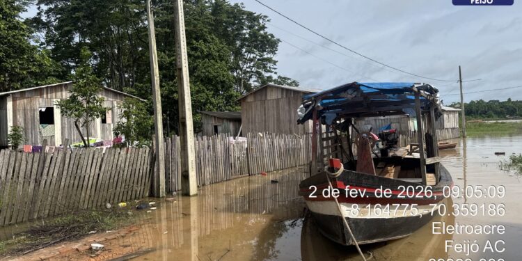 Rio Envira ultrapassa cota de transbordo e atinge mais de 160 famílias em Feijó